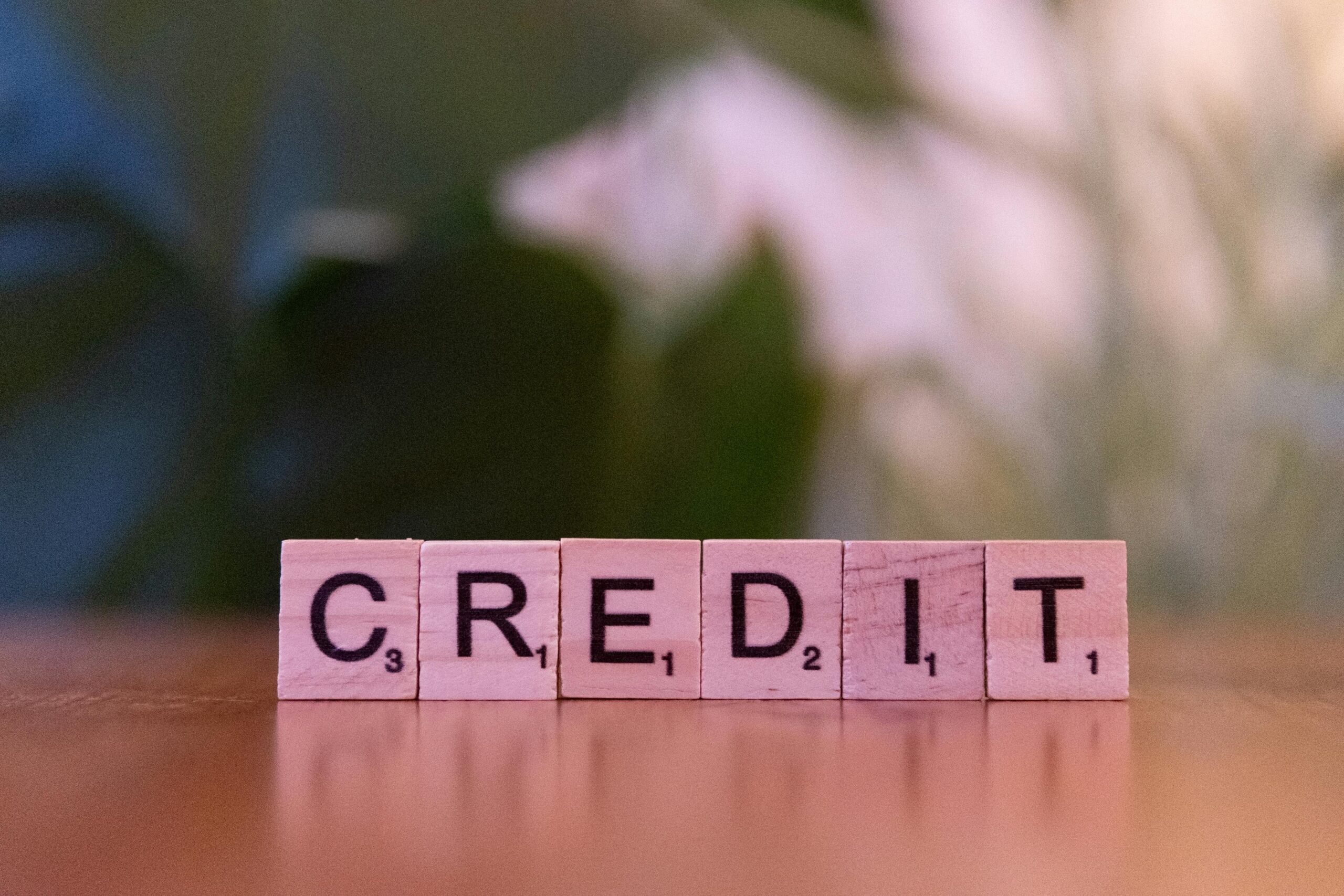 Co-Applicant Credit Score Requirements