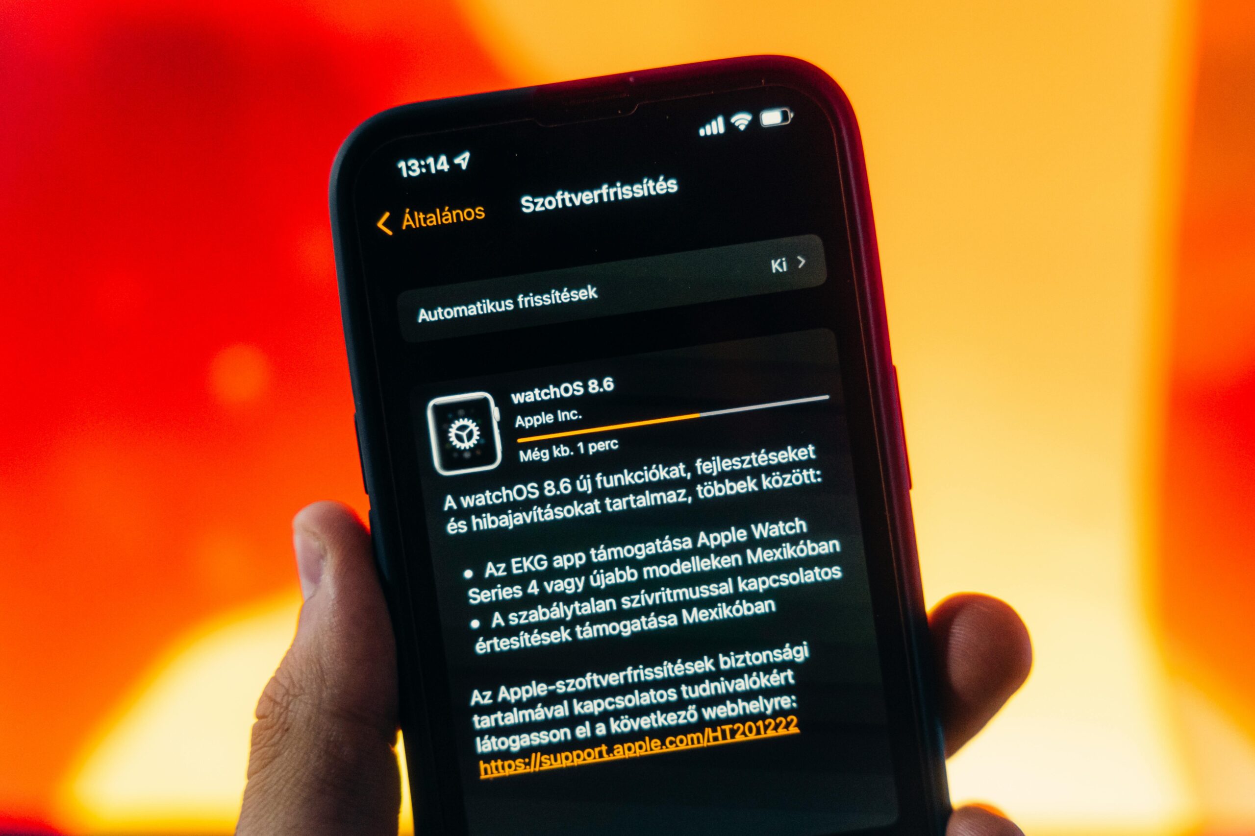 Mobile app alert notification for suspicious transactions