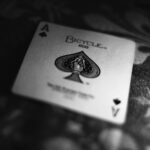 Credit Card Shared Liability: Everything You Need to Know About Joint Credit Cards