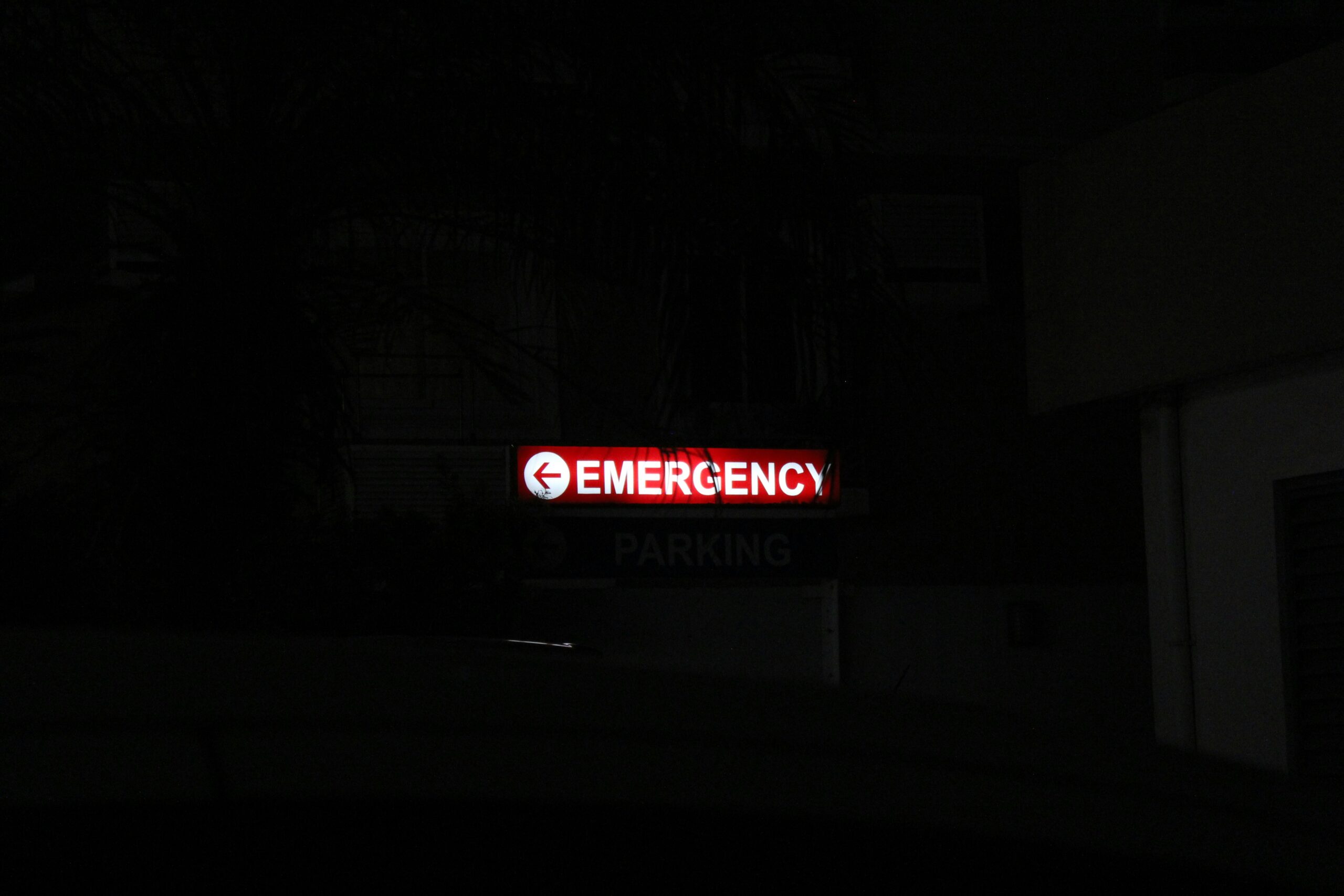 It was midnight, the news of the pandemic broke out, yet there was no word from the government. Little did we know, an international crisis was about to unfold.