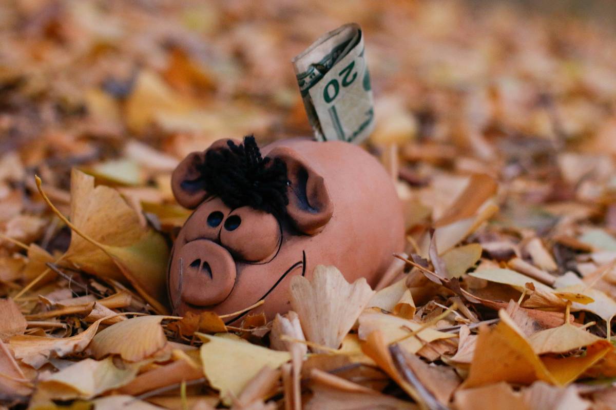 Why Did My Joint Credit Card Application Get Denied? A Comprehensive Guide to Fixing It