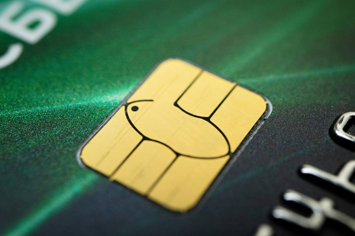 Joint Credit Card Application No Fees: Your Stress-Free Guide to Shared Spending
